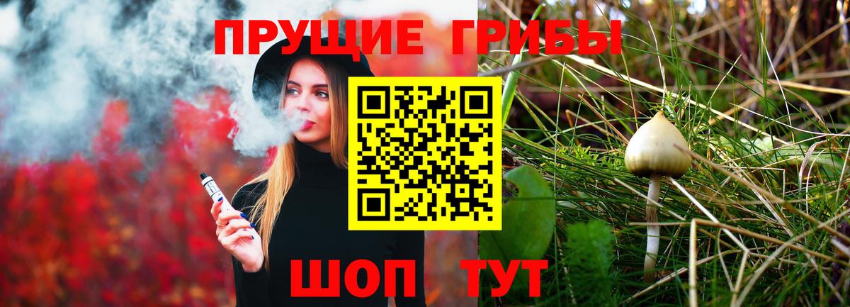 Галлюциногенные грибы Psilocybe Иркутск